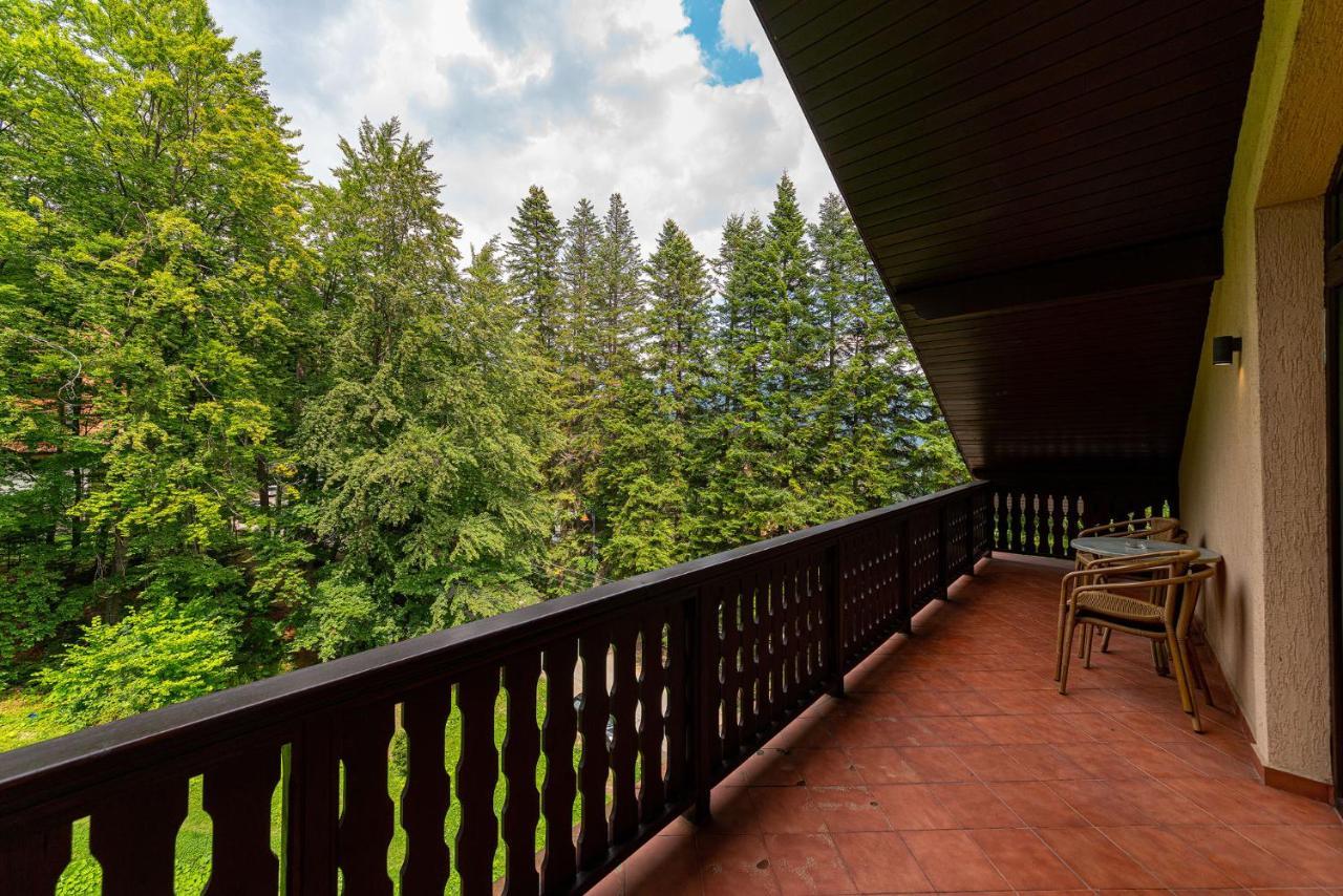 Regal 3* Sinaia
